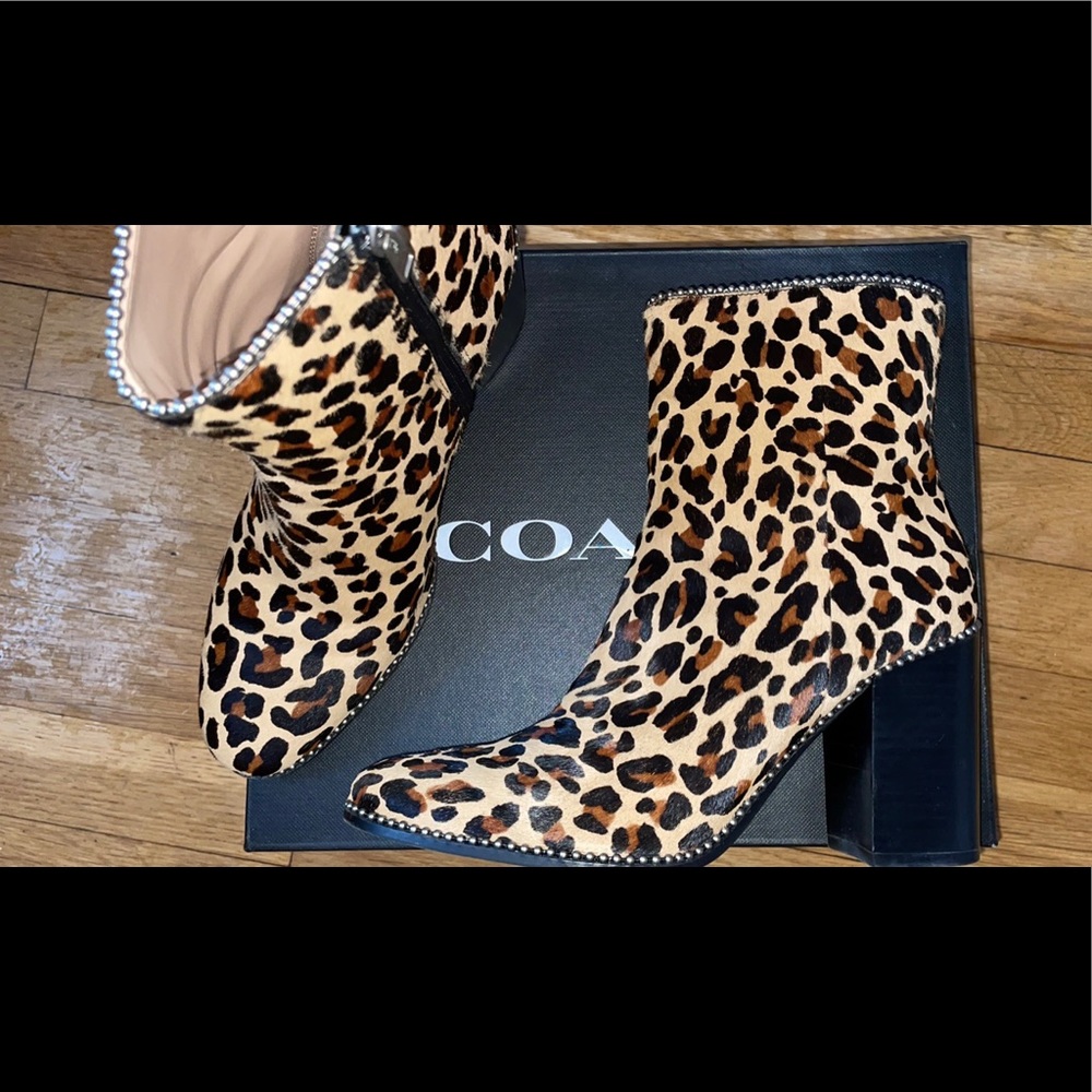 COACH Calf fur booties